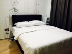 Skysuites@Anson (D2), Apartment #572269361